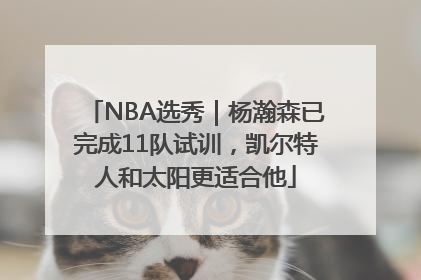 NBA选秀｜杨瀚森已完成11队试训，凯尔特人和太阳更适合他