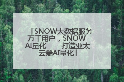 SNOW大数据服务万千用户，SNOW AI量化——打造亚太云端AI量化