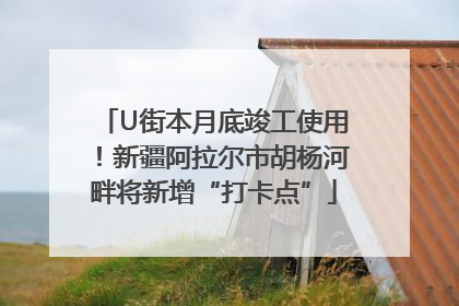 U街本月底竣工使用！新疆阿拉尔市胡杨河畔将新增“打卡点”